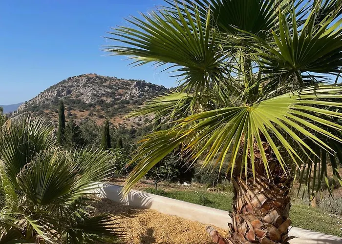 Cortijo Rancho Lägenhet